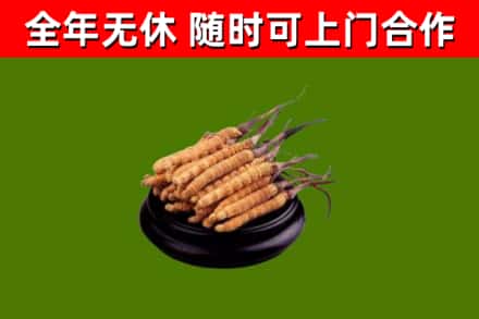 上杭烟酒回收冬虫夏草.jpg